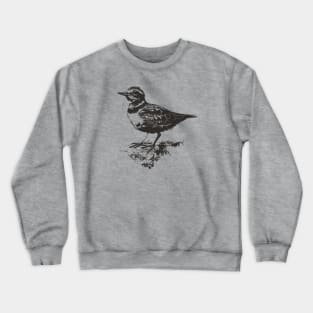 Hand drawn killdeer bird Crewneck Sweatshirt